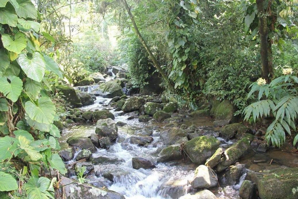 Dingo - Refugio Romantico Em Meio A Natureza Penedo  Exteriör bild